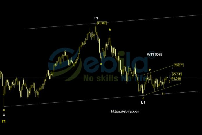 Since crude oil price have almost completed the small T1-L1 initiation phase and are expected to grow strongly in the near future
