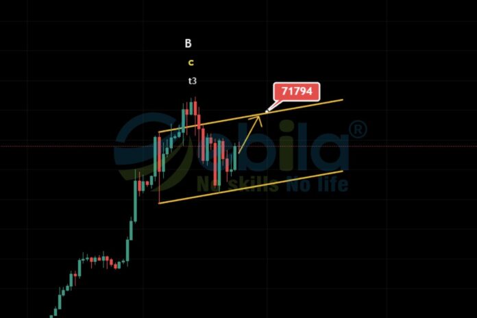 Looking at the Bitcoin chart, we can see that the upward trend is showing signs of weakening. After reaching a record high of 73,000, investor sentiment has stabilized, and the price is gradually following technical analysis.