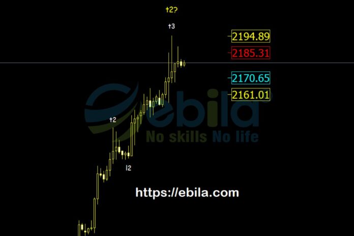 The gold price in the past week experienced a remarkable growth, reaching the highest record ever at 2195.