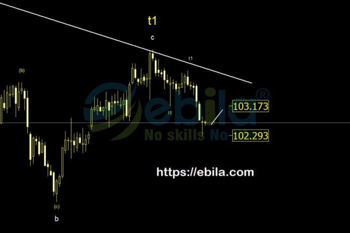 The US dollar index has followed the calculations of last week's strategy. After confirming the downtrend, the price chart experienced a significant decline, touching the level of 102.3.